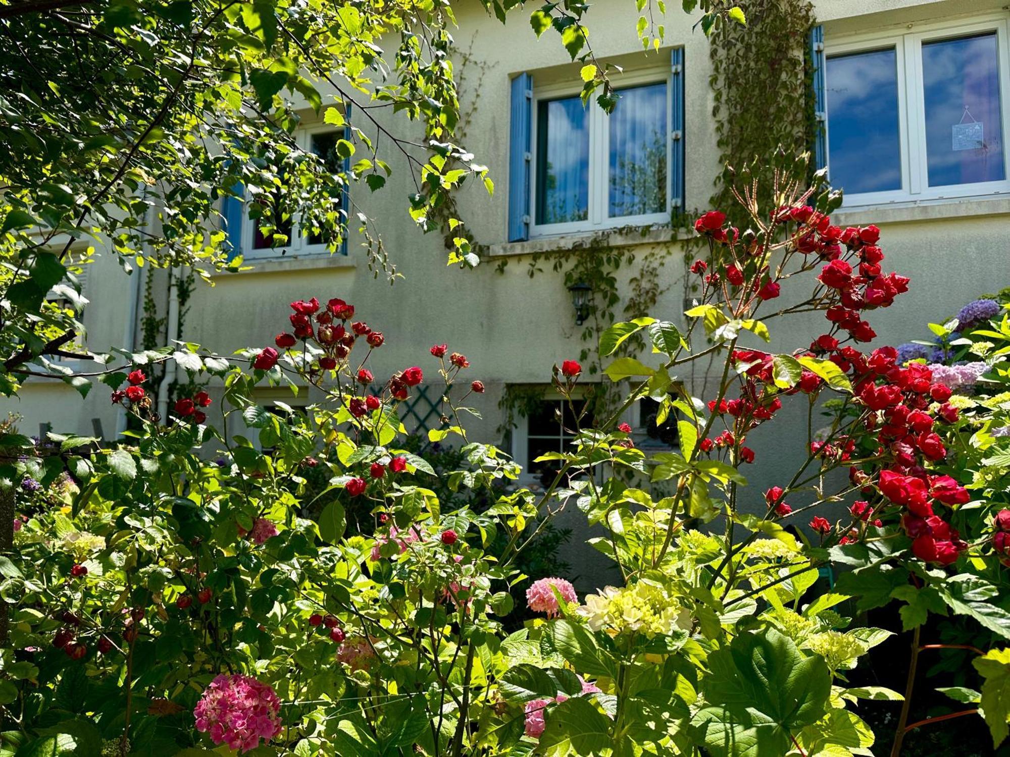 Agreable Maison A 500 M De La Plage ! Saint-Quay-Portrieux Εξωτερικό φωτογραφία